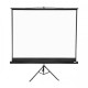 Dopah/Apollo 96”x96” Tripod Projection Screen
